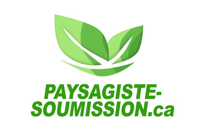 paysagiste aménagement pavé uni pavage
